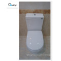 Watermark Washdown Two-Piece Toilet with S-Trap160/220mm/P-Trap180mm (A-6002)